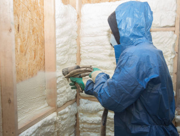 Types of Insulation We Offer in Ester, AK